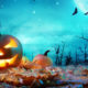 Pumpkin Glowing At Moonlight In The Spooky Forest – Halloween Scene